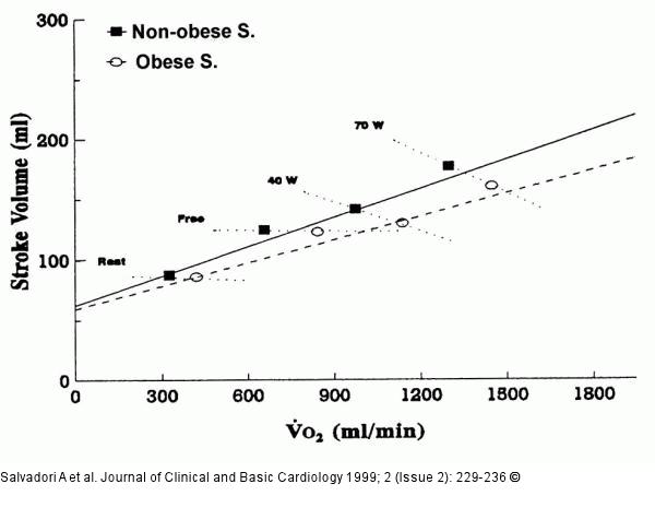 Schlaganfall - Sauerstoffverbrauch - Adipositas