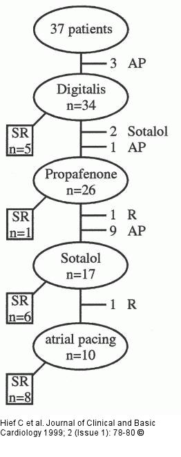 Vorhofflattern - Antiarrhythmika