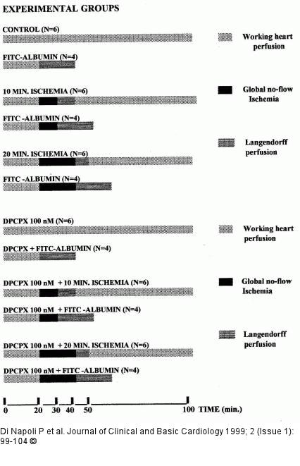 Adenosin und koronare Mikrozirkulation