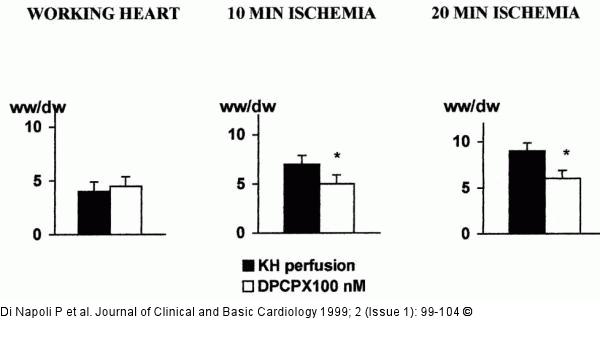 Adenosin und koronare Mikrozirkulation