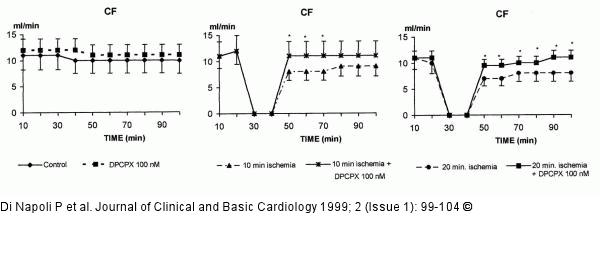 Adenosin und koronare Mikrozirkulation