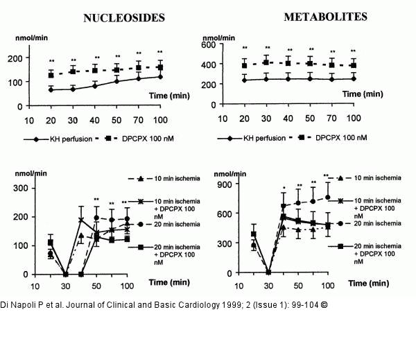 Adenosin und koronare Mikrozirkulation