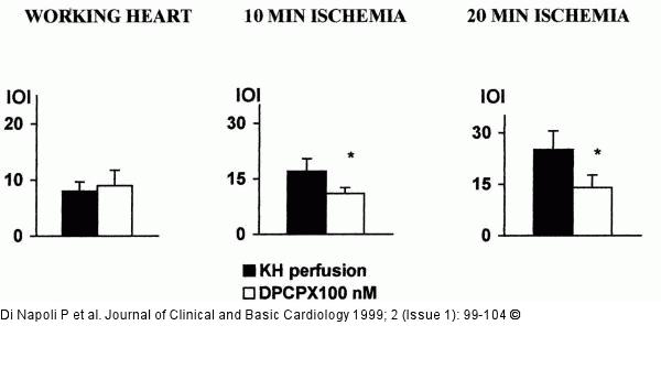 Adenosin und koronare Mikrozirkulation