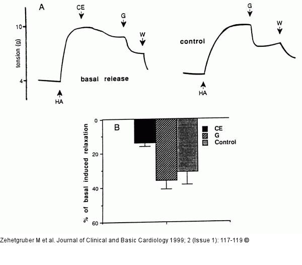Pulmonalarterie - Relaxation