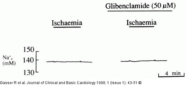 K-Efflux in Koronararterien