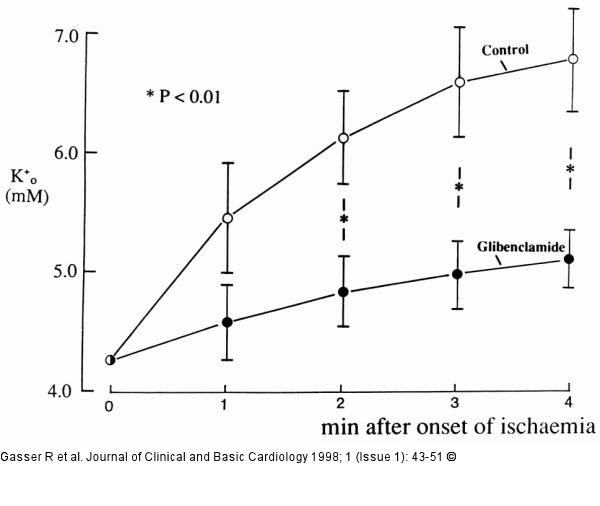 K-Efflux in Koronararterien