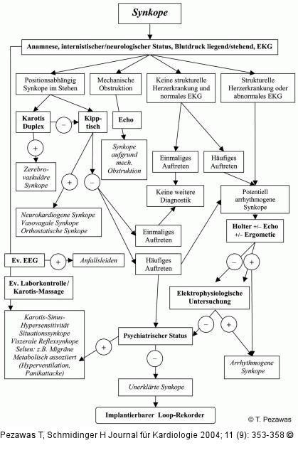 Effiziente Synkopenabklärung