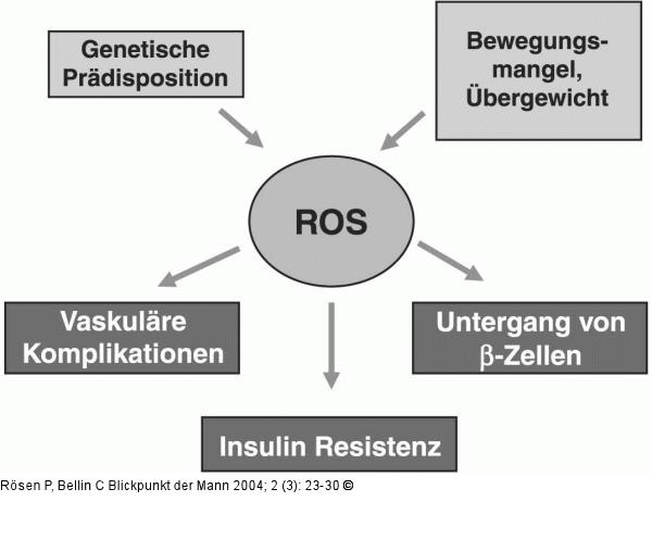 Oxidativer Stress - Lebensführung