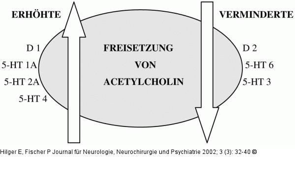 Cholinerges - Dopaminerges System