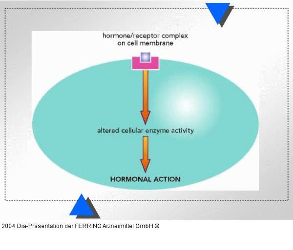 Hormonelle Aktion