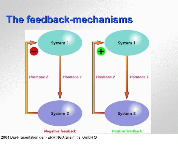 Feedback-Mechanismus