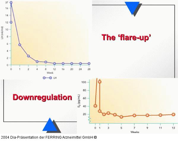 Flare up - Downregulation