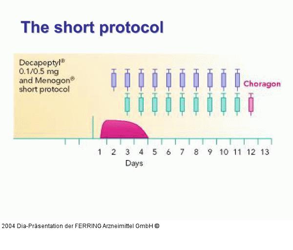 Short Protokoll