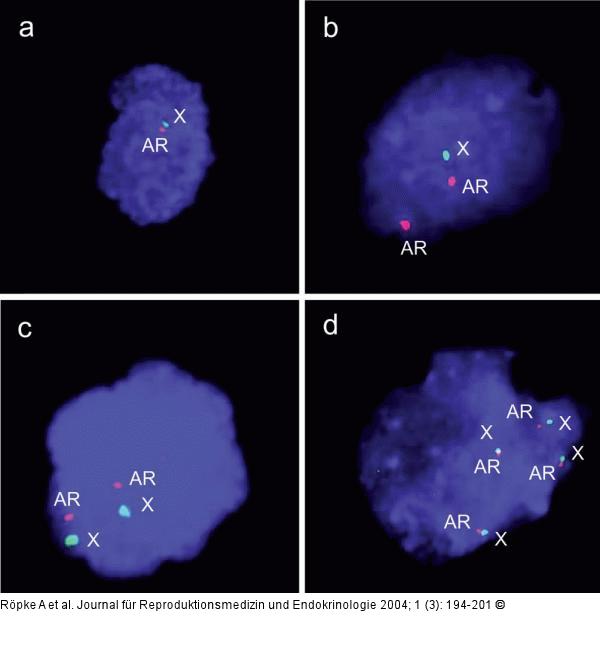 FISH-Analyse - AR-Gen