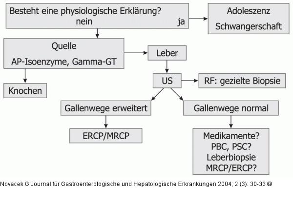 Alkalische Phosphatase