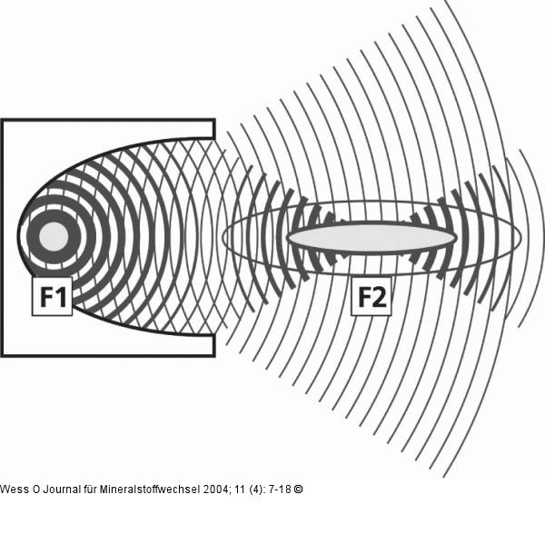 Stoßwellenfokussierung