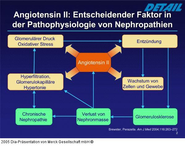 Angiotensin II - Nephropathie