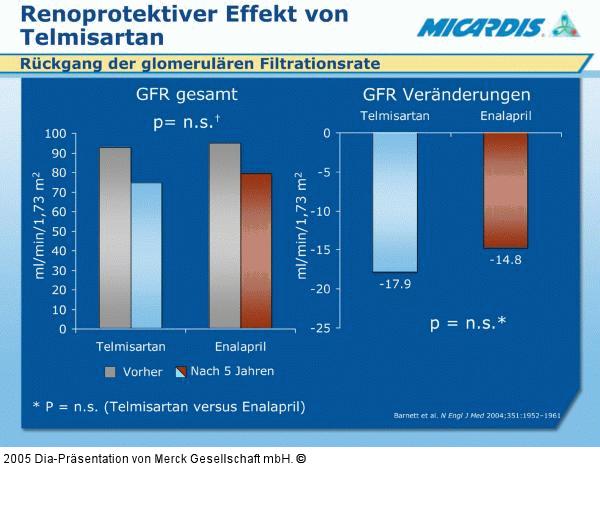 Telmisartan - Renoprotektiver Effekt