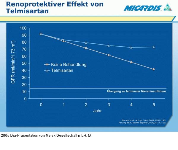 Telmisartan - Renoprotektiver Effekt