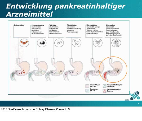 Entwicklung - Pankreatin