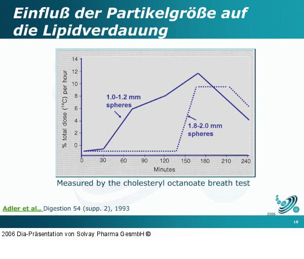 Partikelgröße - Lipidverdauung