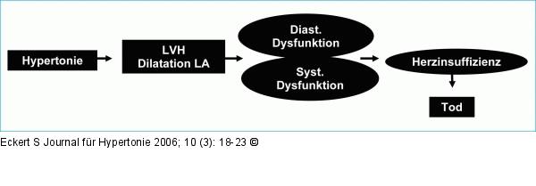 Arterielle Hypertonie - Herzinsuffizienz