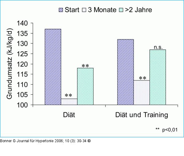 Ausdauertraining - Grundumsatz