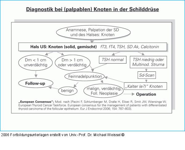 Palpabler Knoten - Diagnose