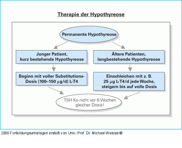 Hypothyreose - Therapie