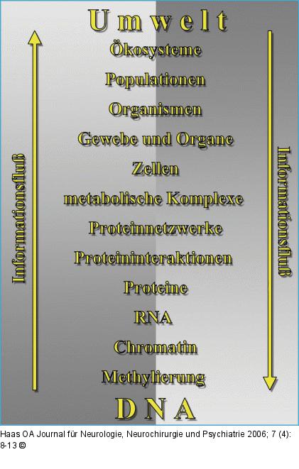Genetik - Umwelt