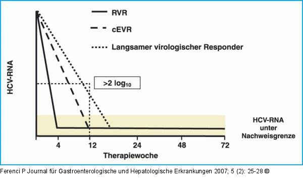 Schematische Darstellung des Virusabfalls