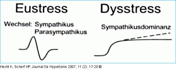 Funktionelle Abläufe bei Eustreß und Dysstreß