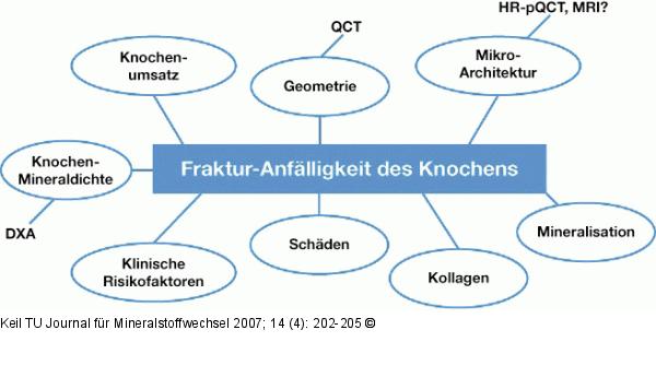 Knochenfestigkeit