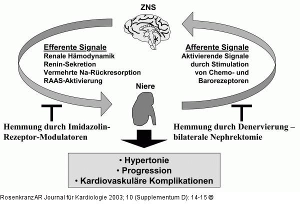 Sympathisches Nervensystem - Niereninsuffizienz