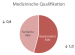Abb. 3: Medizinische Qualifikation