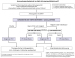 Abb. 2: Guidelines