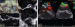 Abb. 1: 3D-Echo
