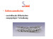 Aktuelles Bild - Abb. 12: Stent