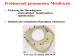 Abb. 49: Permanente Metallstents