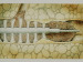 Aktuelles Bild - Abb. 70: Katheter-Thrombolyse