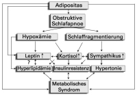 Abbildung 1: Metabolisches Syndrom