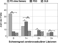 Abbildung 5: Läsionen - PD