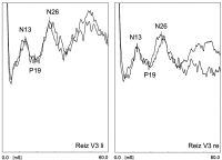Abbildung 3: Potenziale