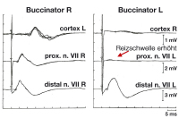 Abbildung 6: Potenziale