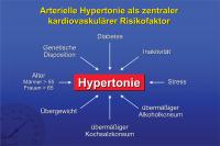 Abbildung 2: Arterielle Hypertonie als zentraler kardiovaskulärer Risikofaktor