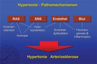Abbildung 10: Hypertonie - Pathomechanismen