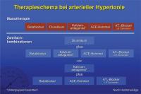 Abbildung 12: Therapieschema bei arterieller Hypertonie