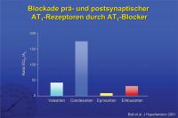 Abbildung 18: Blockade prä- und postsynaptischer AT1-Rezeptoren durch AT1-Blocker