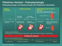 Abbildung 8: Plötzlicher Herztod – Pathophysiologie - Pathophysiologie und Epidemiologie des Plötzlichen Herztodes