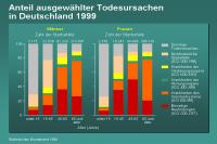 Abbildung 7: Anteil ausgewählter Todesursachen in Deutschland 1999